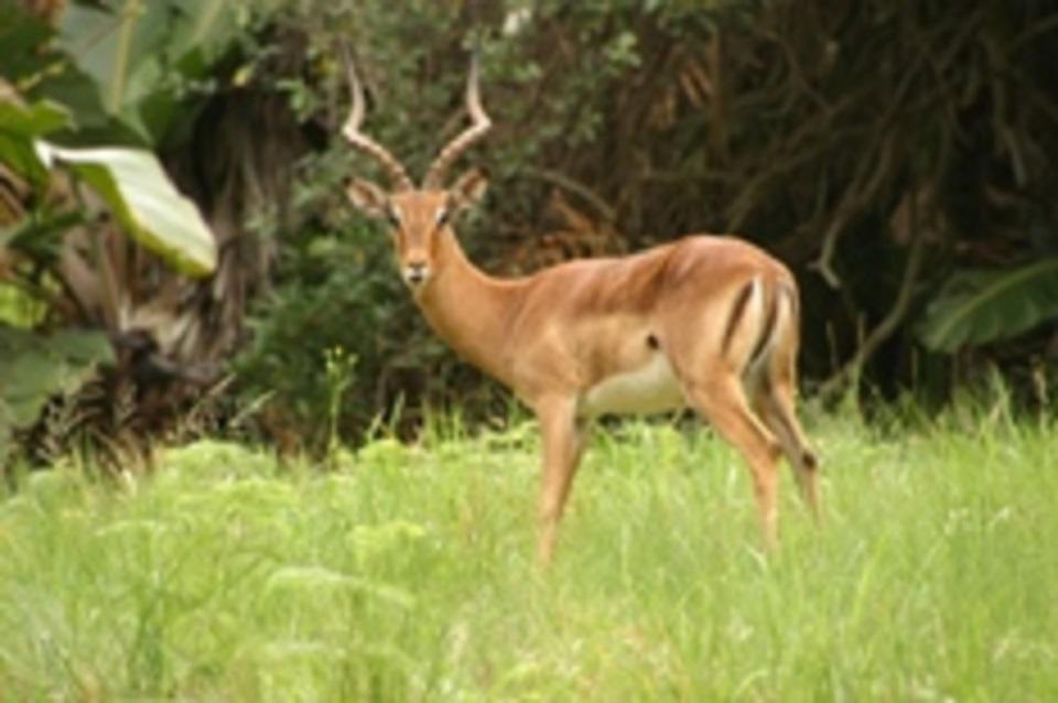 San Lameer Villa 2012 绍斯布鲁姆 外观 照片