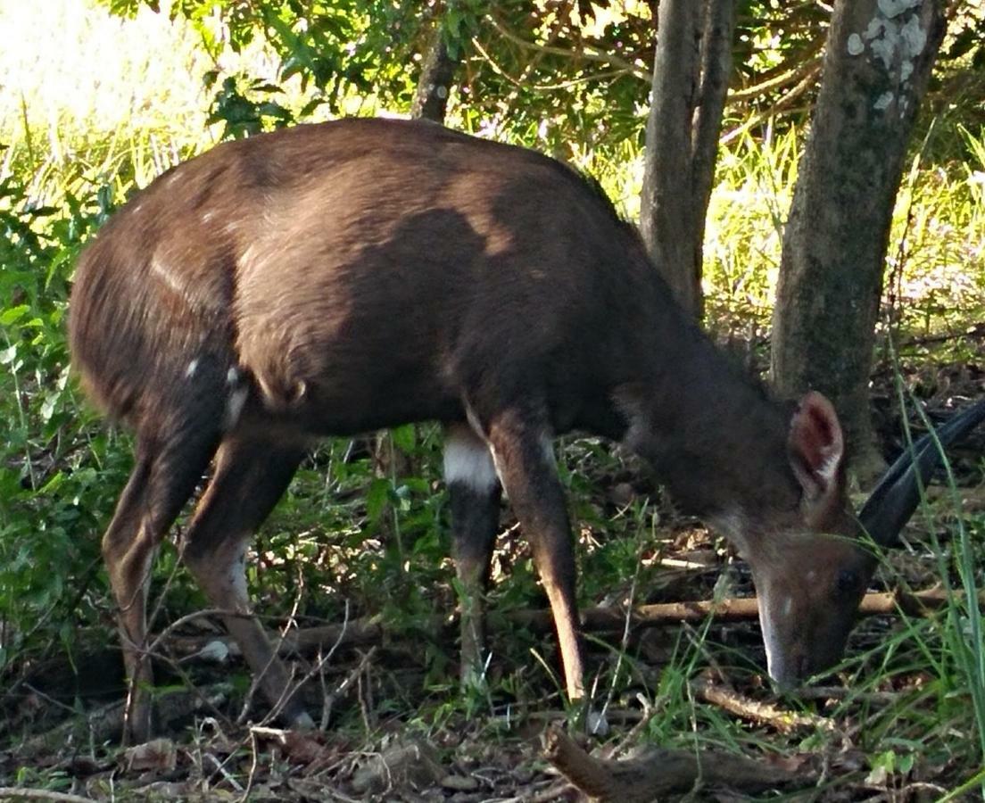 San Lameer Villa 2012 绍斯布鲁姆 外观 照片